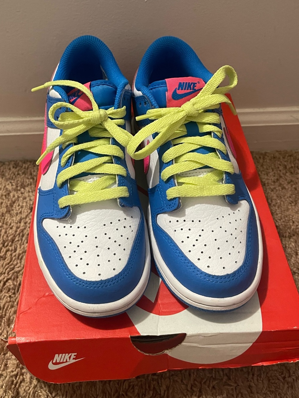 Nike Dunk